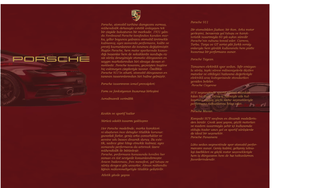 Broşur tasarımı - Porsche